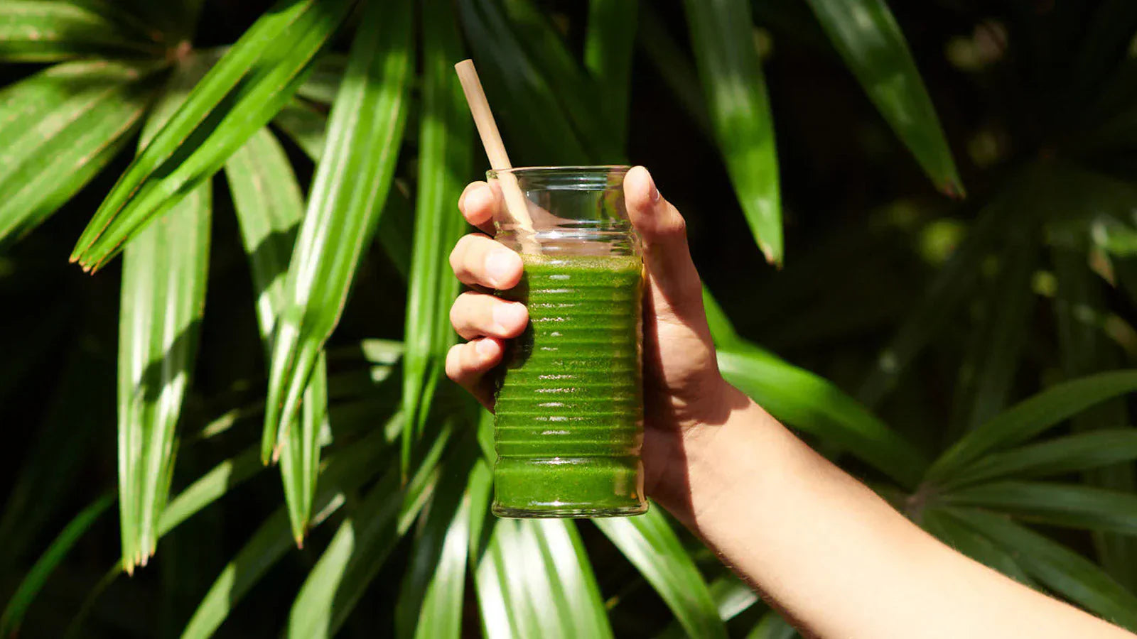 The Power of the Shake