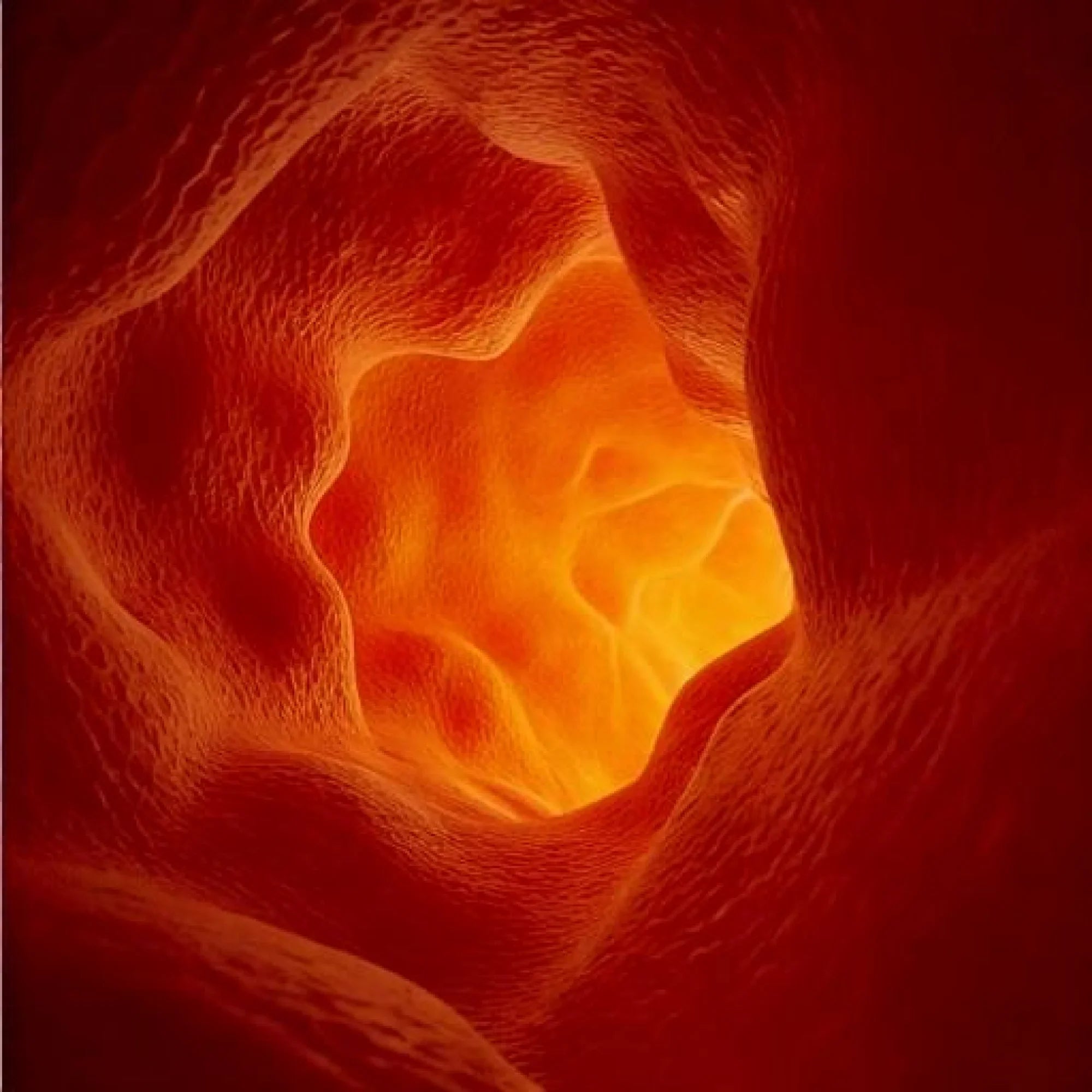 Fatty Liver – The Quiet Disease that Threatens Millions